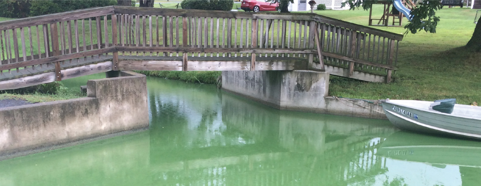Why Chemicals Are Not the Answer to Treat Harmful Algae Blooms in Lakes