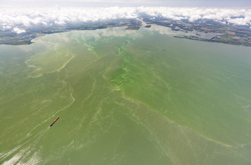 What Lake Erie’s 2025 Algae Forecast Really Tells Us